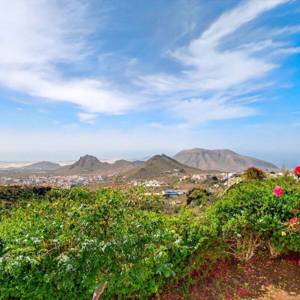 20260224 - 25 - Leonard Realty - Andrea C - La Camella-18